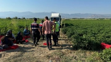 Tarlada uyurken üzerinden kamyon geçen çocuk öldü! Yakınları da şoförü öldürdü