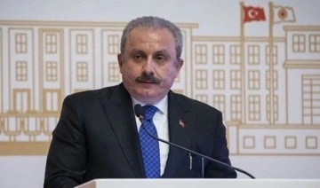 TBMM Başkanı Mustafa Şentop Erdoğan'ın yanında: 'Bu konu 6'lı masanın işi değildir&#0