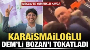 TBMM'de AK Parti ile DEM Parti milletvekilleri arasında yumruklu kavga çıktı