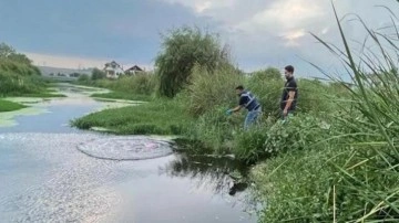 Tekirdağ Kınıklı deresindeki siyah renkli kirliliğe ilişkin inceleme