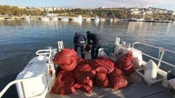 Tekirdağ'da 1 ton 500 kilogram kum midyesi ele geçirildi!