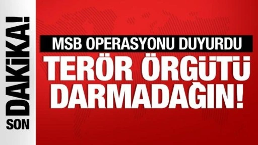 Terör örgütü neye uğradığını şaşırdı! MSB'den operasyon açıklaması