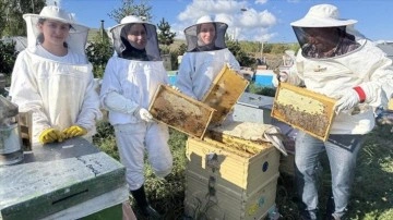 Tescilli Ardahan çiçek balında 400 tonu aşan rekolte bekleniyor