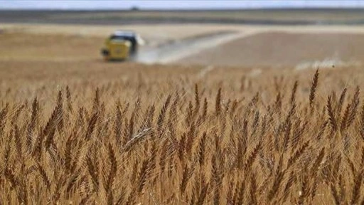 TKDK'den Ankara'daki çevre dostu tarım tedbirlerine hibe