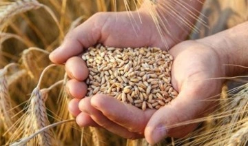 TMO'dan 125 bin tonluk buğday ithalatı
