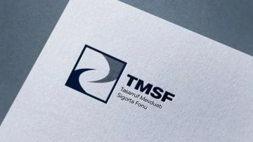 TMSF, üç şirketi satışa çıkardı