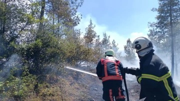 Tokat'ta orman yangını çıktı! Validen açıklama geldi