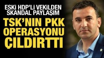 TSK'nın PKK'ya operasyonu HDP'li Encü'yü çıldırttı