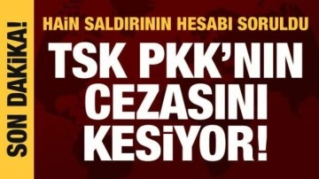 TSK, PKK'yı vurmaya devam ediyor: 17 terörist etkisiz!