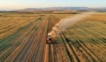 TÜİK açıkladı: Tarımda üretici enflasyonu rekor yeniledi