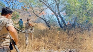 Tunceli’deki yangında 11 hektarlık alan zarar gördü