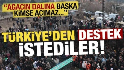 Türkiye'den destek istediler: Ağacın dalına başka kimse acımaz!