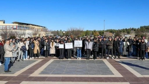 Üniversite öğrencileri: Rojin Kabaiş'in failleri bulunsun