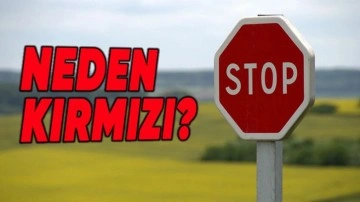 Uyarı Levhaları Neden Hep Kırmızı Renkte?