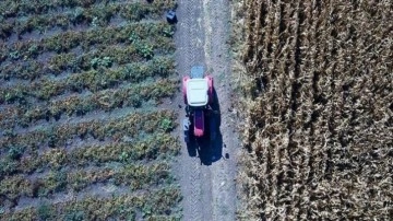 Uygulamalı çiftçi eğitimleri 16 Ocak'ta başlayacak