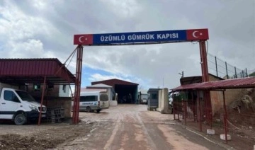 Üzümlü Sınır Kapısı'nda 'şap' alarmı