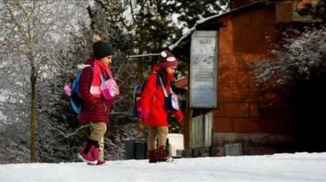 Valilik duyurdu: Ordu'da eğitime kar engeli