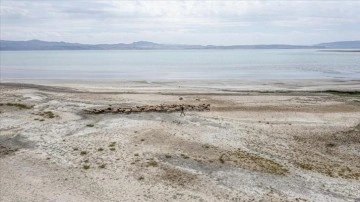 Van Gölü kuraklık nedeniyle küçülmeye devam ediyor