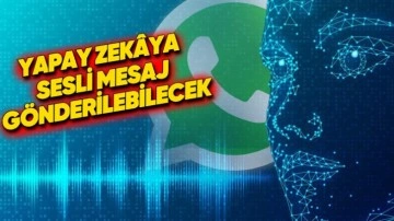 WhatsApp, Sohbet Botu Meta AI'a Sesli Mesaj Gönderme Özelliği Getiriyor