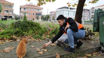 Yalova Belediyesi’nden sokak hayvanlarına 11 ayda 28,5 ton mama dağıtıldı