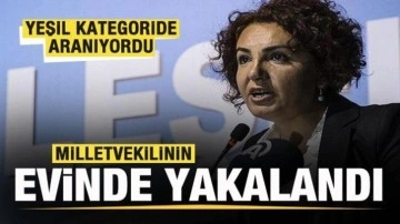 Yeşil kategoride aranan terörist milletvekilinin evinde yakalandı