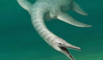 'Yılan vücutlu timsah suratlı deniz canavarı' keşfedildi