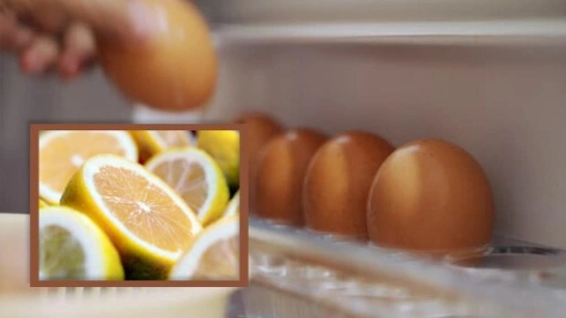 Yumurtalarla limonu aynı rafta saklayanlar dikkat: Bu yaygın hata meğer zehir saçıyormuş!