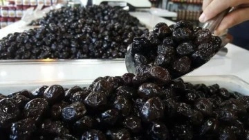 Zeytin ihracatı 110 bin tonla rekor kırdı